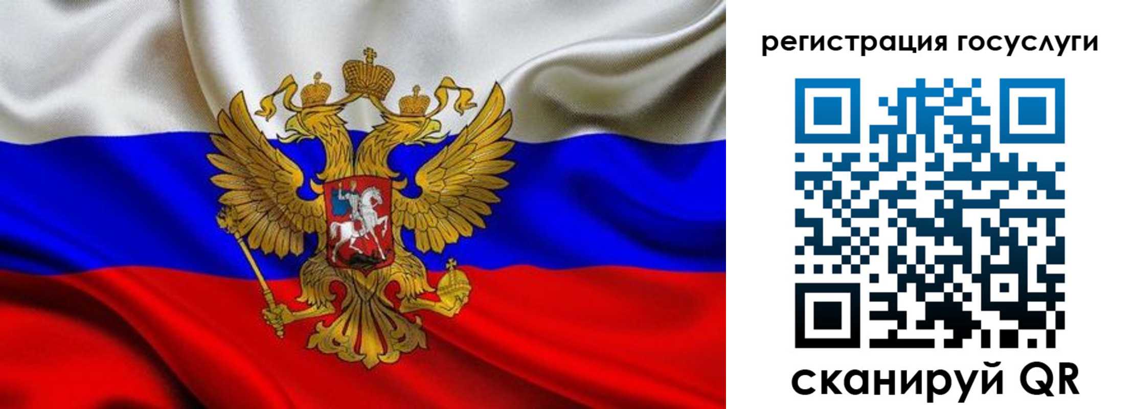 прописка гарантия в Жирновске